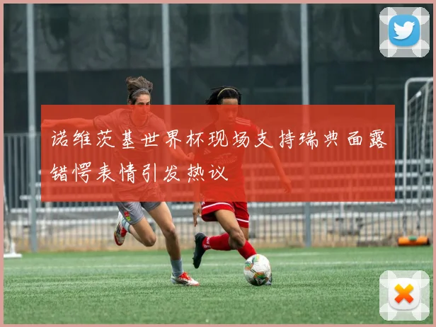 诺维茨基世界杯现场支持瑞典面露错愕表情引发热议