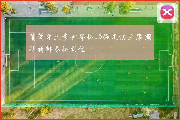 葡萄牙止步世界杯16强足协主席期待新帅尽快到位